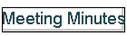 Meeting Minutes